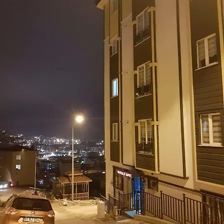 Nuralp - 2*